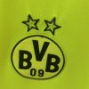 Maillot Concept Borussia Dortmund Édition Vert 2024-2025 vue de profil