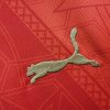 vetement-sportif-maroc-domicile-2425 vêtement sportif Maroc domicile 2425