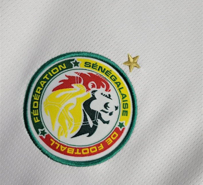 maillotsenegaldomicilelogo.jpg Camiseta Senegal Primera Equipación 2024 vista de perfil