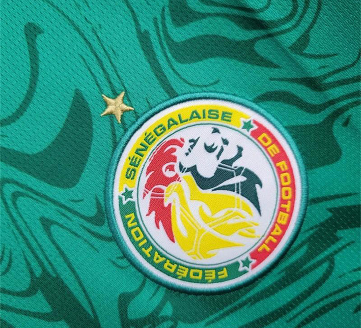 maillotsenegalexterieurlogo.jpg Maillot Sénégal Extérieur 2024 vue de profil