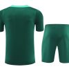 Conjunto camiseta y short Portugal temporada 2024 2025 equipación de fútbol