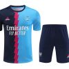 Kit de entrenamiento Arsenal Fourth 20232024