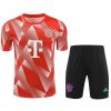 KIT ENTRENAMIENTO BAYERN MUNICH ROJO 2 20232024