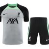 KIT ENTRENAMIENTO LIVERPOOL BLANCO 20232024