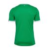 camiseta primera equipación AS Saint-Étienne temporada 2024 2025 verde y blanco