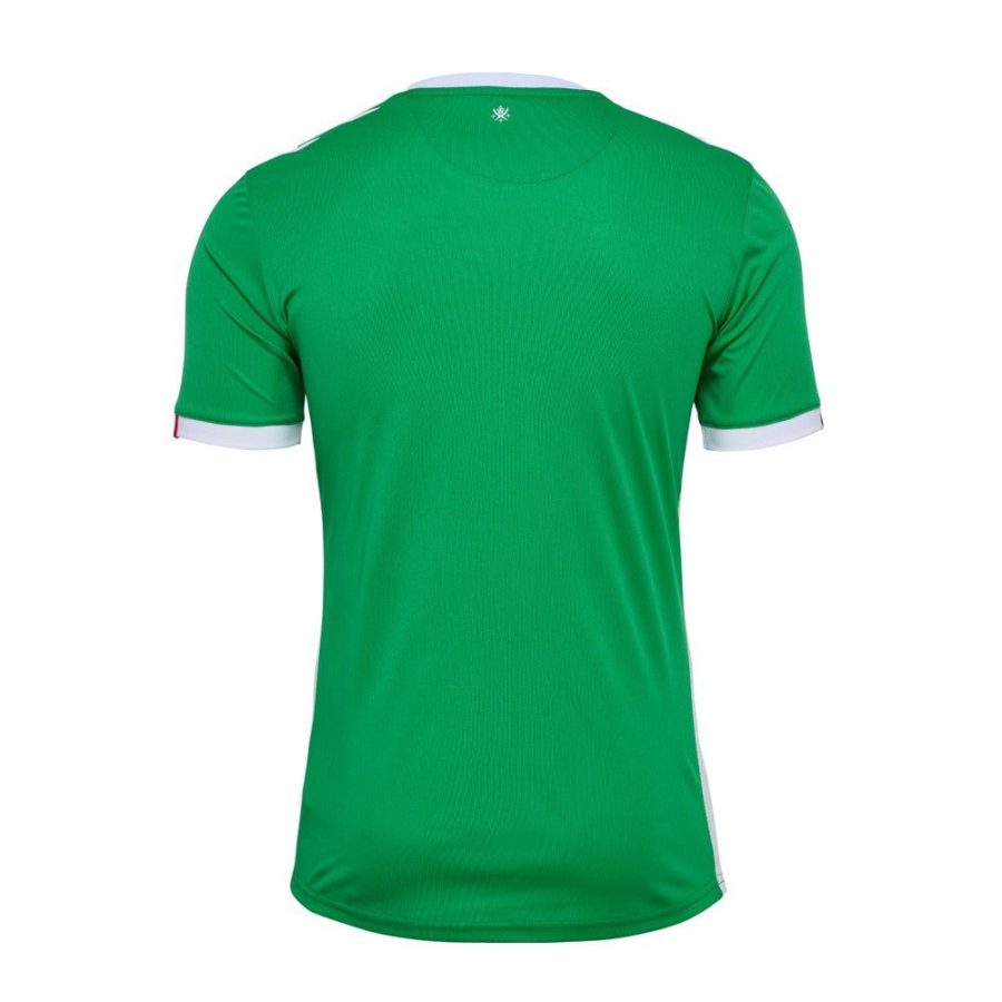 camiseta primera equipación AS Saint-Étienne temporada 2024 2025 verde y blanco