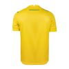 maillot domicile FC Nantes saison 2024 2025 tenue officielle jaune et verte