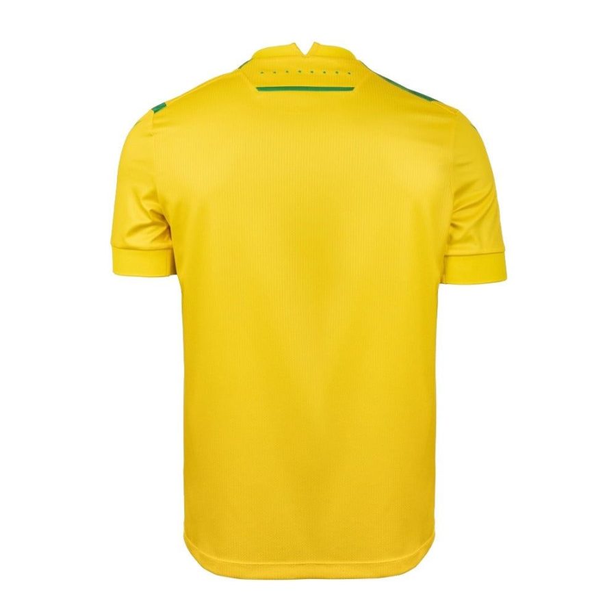 maillot domicile FC Nantes saison 2024 2025 tenue officielle jaune et verte