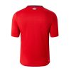 Camiseta primera equipación LOSC Lille temporada 2024 2025