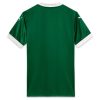 maillot-domicile-palmeiras-saison-2025-jersey-officiel-vert-et-blanc Camiseta primera equipación Palmeiras temporada 2025 jersey oficial verde y blanco