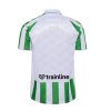 maillot-domicile-real-betis-saison-vingt-vingt-quatre-vingt-vingt-cinq-vert-et-blanc-officiel Camiseta primera equipación Real Betis temporada veinte veinticuatro veinte veinticinco verde y blanca oficial