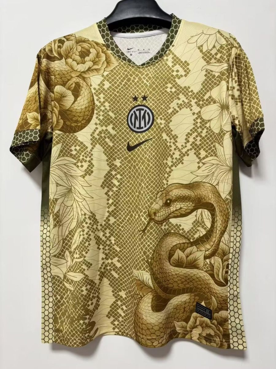 CAMISETA INTER MILAN CONCEPT SNAKE 20252026