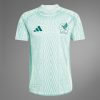 CAMISETA MÉXICO SEGUNDA EQUIPACIÓN 2024