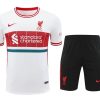 MAILLOT + SHORT LIVERPOOL 20242025