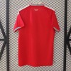 Camiseta Wales Primera Equipación 2025/26