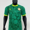 Camiseta Senegal Segunda Equipación Verde CAN 2025-26