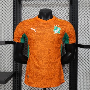 Camiseta Costa de Marfil 2025/26 Player