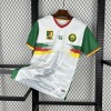 Camiseta Camerún CAN 2025-26