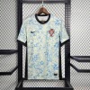 659e14907b056cb768d6ae098c7753c3.jpg Maillot Portugal Extérieur EURO 2024