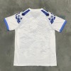 69bd48ea226935dca30bb6ccfc18d67e.jpg Maillot Japon 2025/26 Special Blue Dragon