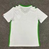 8e3825f641e0f47ba7343cbf47d45ef7.jpg Maillot AS Saint-Étienne Extérieur 2024-2025