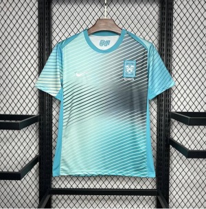 Camiseta Corea del Sur 2024 Entrenamiento