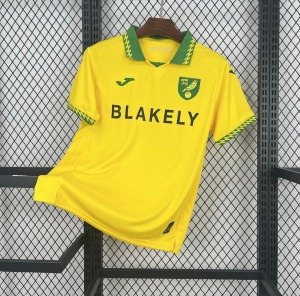 CB47C772-BEDE-4B04-AC11-851226EE6815.jpg Camiseta Norwich City Primera Equipación 2025/26