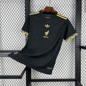 Camiseta México Concept 2025