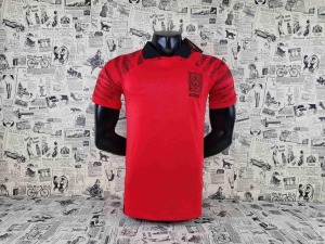 Camiseta Corea del Sur Primera Equipación 2022