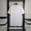 Camiseta AIK Solna 2023/24 Concept