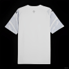 Camiseta Manchester City 2024/25 Dragon