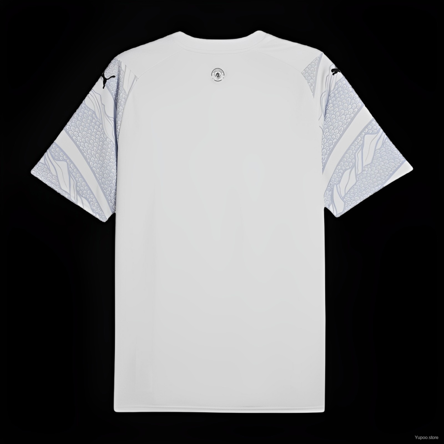 Camiseta Manchester City 2024/25 Dragon