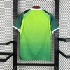 Camiseta Nigeria Segunda Equipación 2026