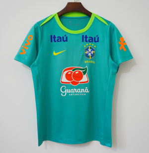 Camiseta Brasil Entrenamiento Verde 2004 Retro