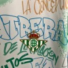 Camiseta Real Betis Concept 2025-26