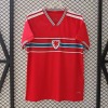 Camiseta Wales Primera Equipación 2025/26