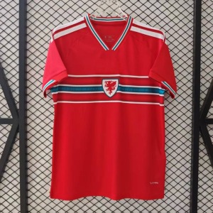 Camiseta Wales Primera Equipación 2025/26