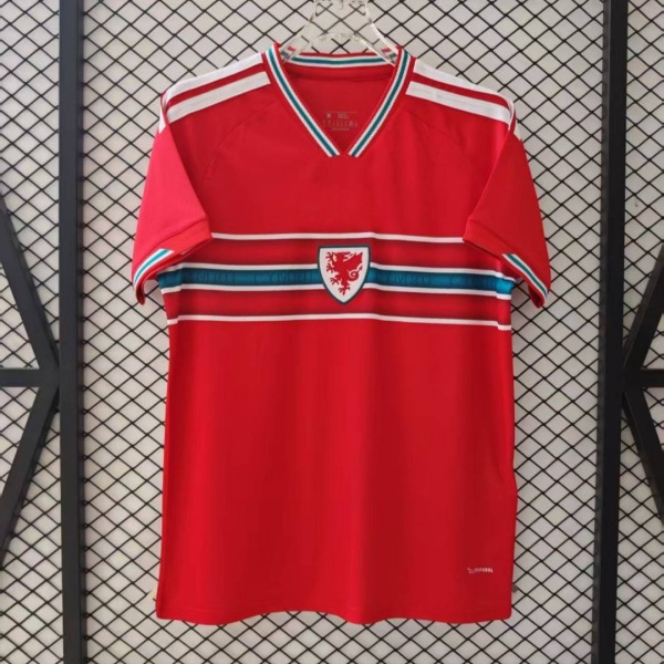 Camiseta Gales Primera Equipación 2025/26