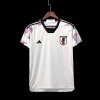 Camiseta Japón 2022/23 Mundial