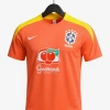 Camiseta Brasil Entrenamiento 2026 Adulto