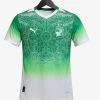 Camiseta Côte d'Ivoire Concept 2026