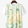 Camiseta Côte d'Ivoire Segunda Equipación 2026