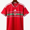 maillot-domicile-pays-de-galles-2026 studio v10 Camiseta Primera Equipación Gales 2026