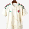 Camiseta Segunda Equipación Gales 2026