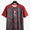 Camiseta Portugal 2026/27 Special Red